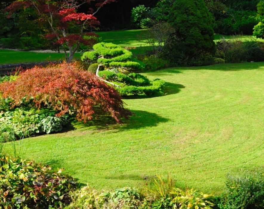 Usługi ogrodnicze odśnieżanie pielęgnacja drzew i krzewów