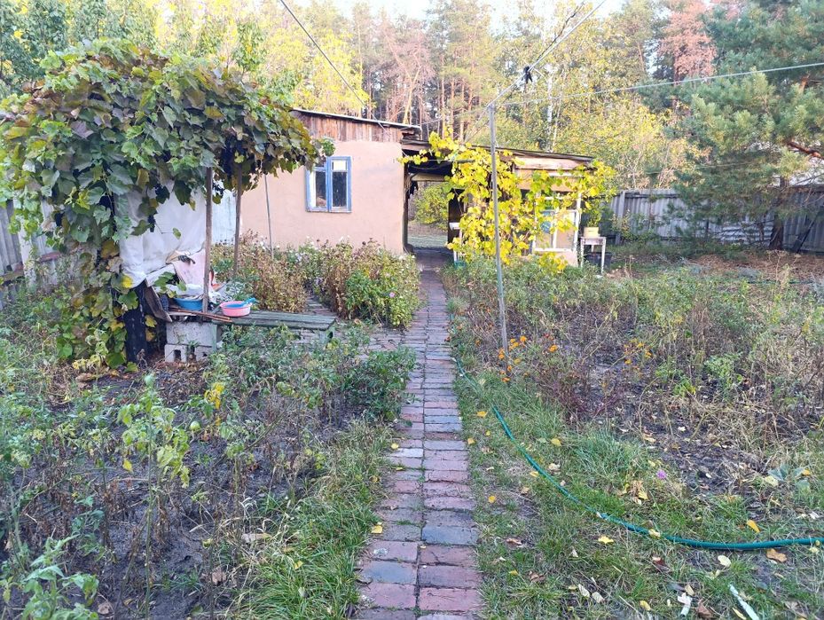 Продам квартиру на опушке соснового леса