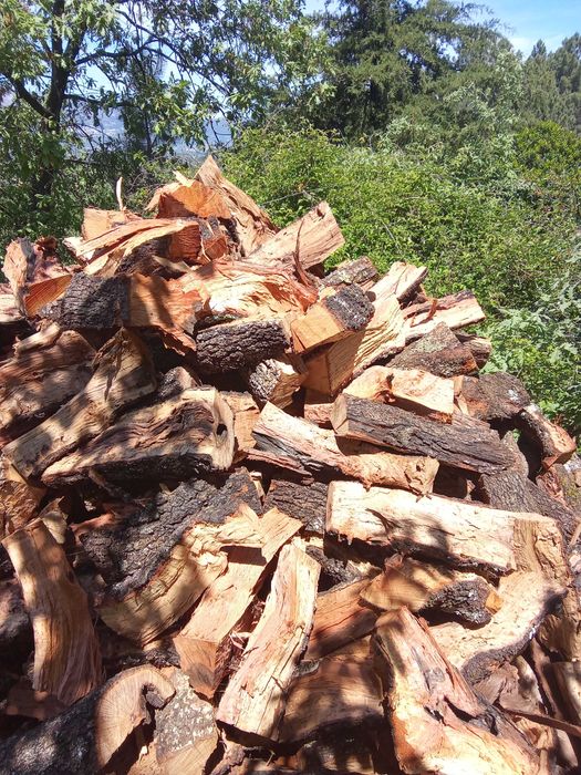 Lenha de Azinho & Outras