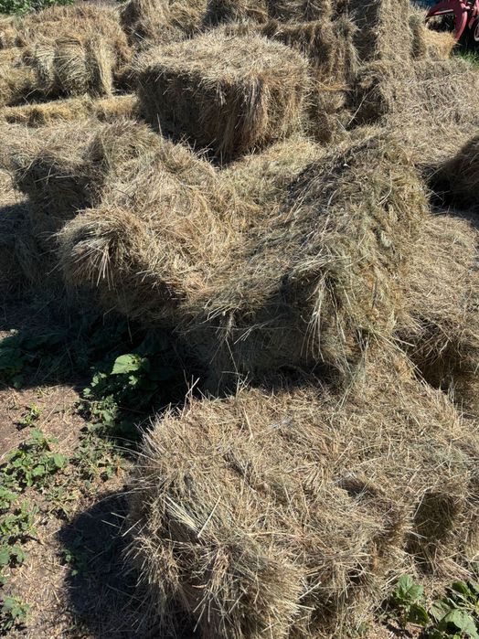 Продам недорого лугове сіно,солома