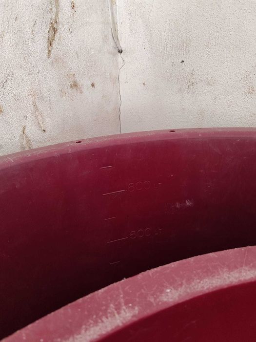 Dornas/tinas de vindima