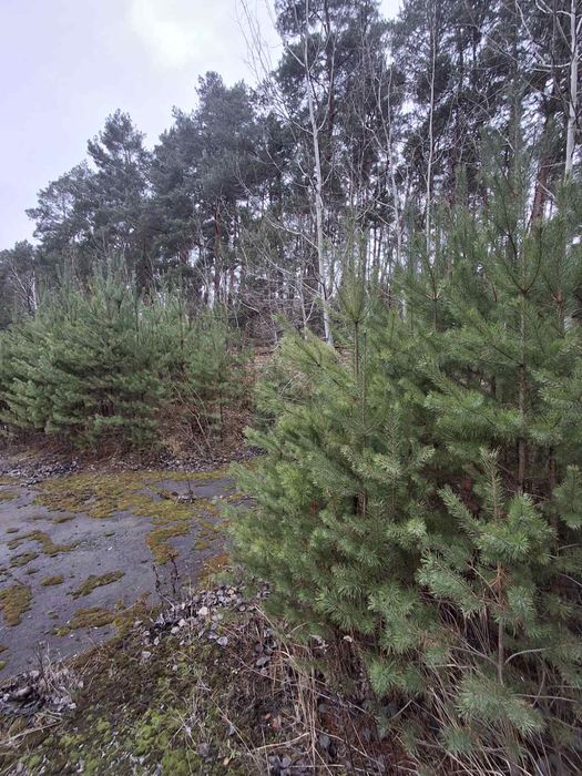 Продаж комерційного приміщення поблизу м.Кременець