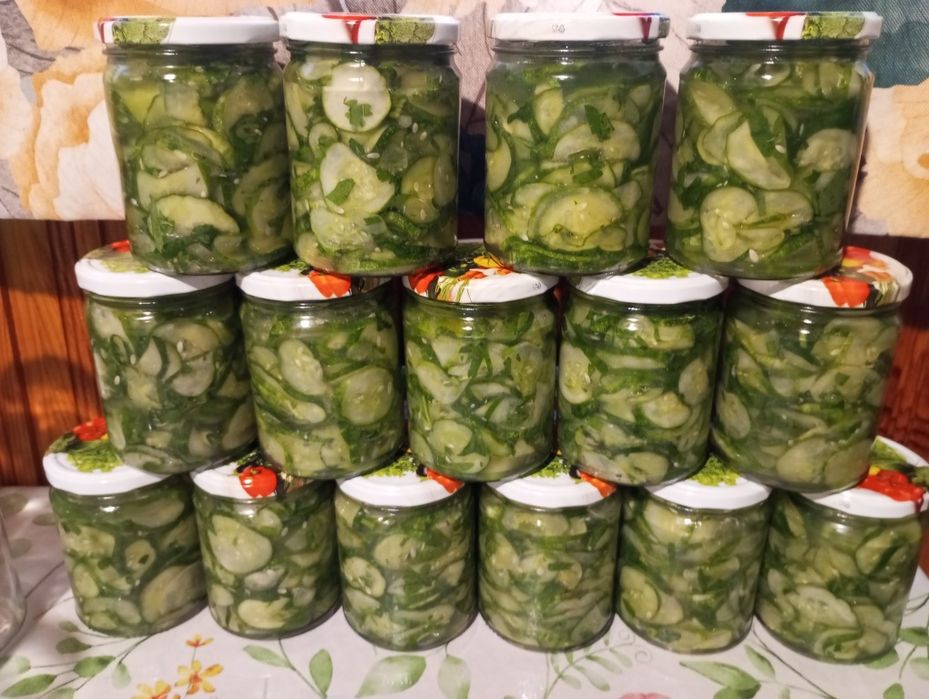 Kiszone Ogórki, sezon 2025