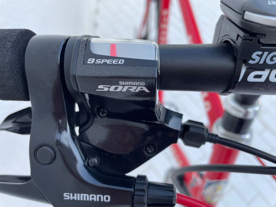 Pinarello Treviso Bicicleta