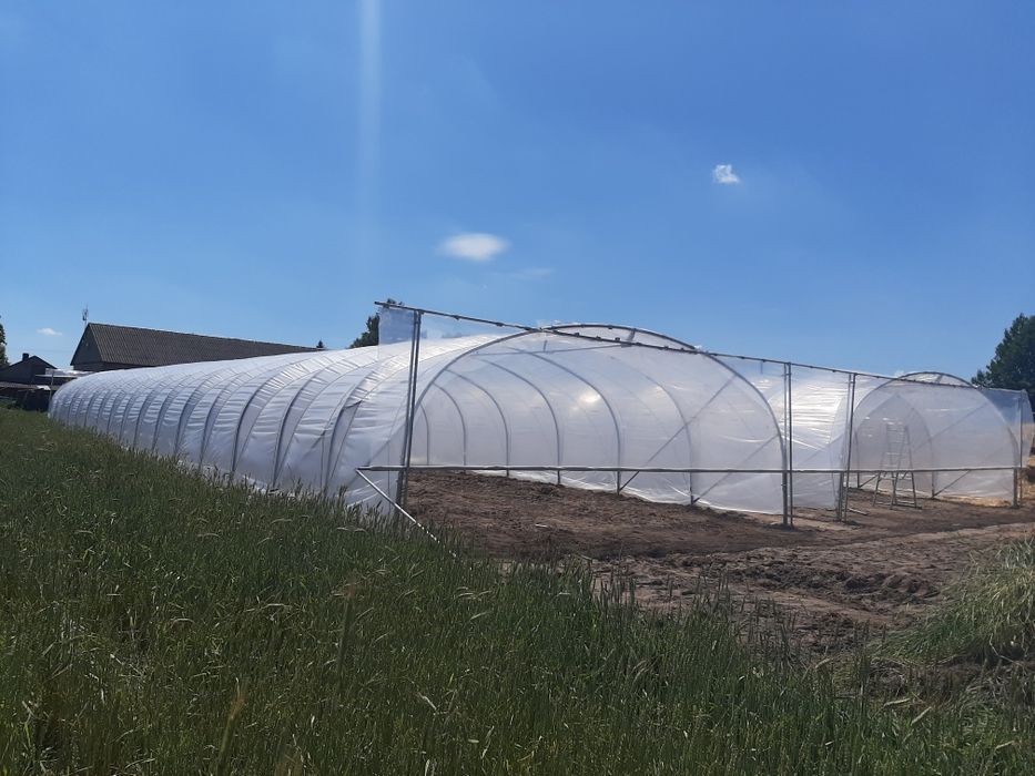 Tunel foliowy truskawka malina papryka