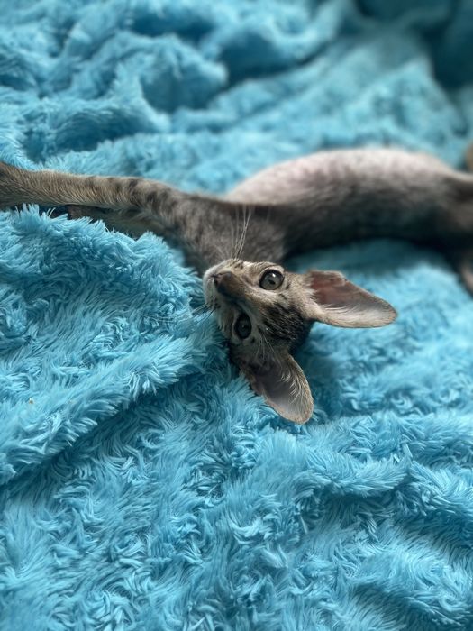 Космічний малюк хлопчик