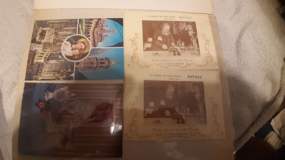 Vendo postais ilustrados para colecionadores  a muito bom preço.