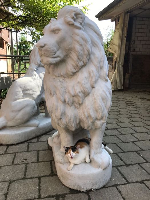 Lew betonowy duży