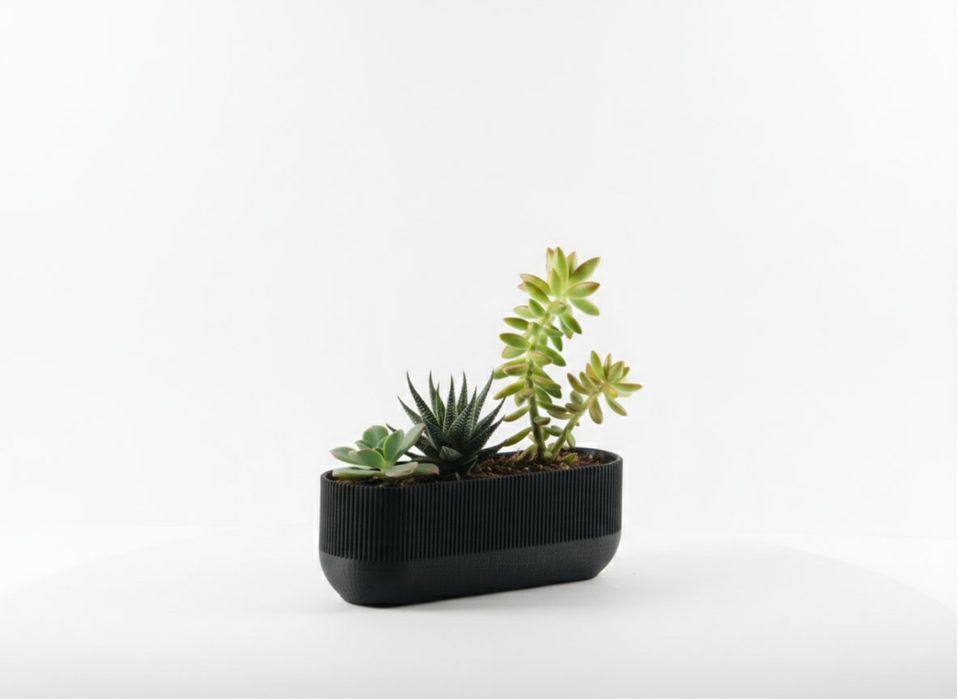 Vaso para pequenas flores e/ou suculentas