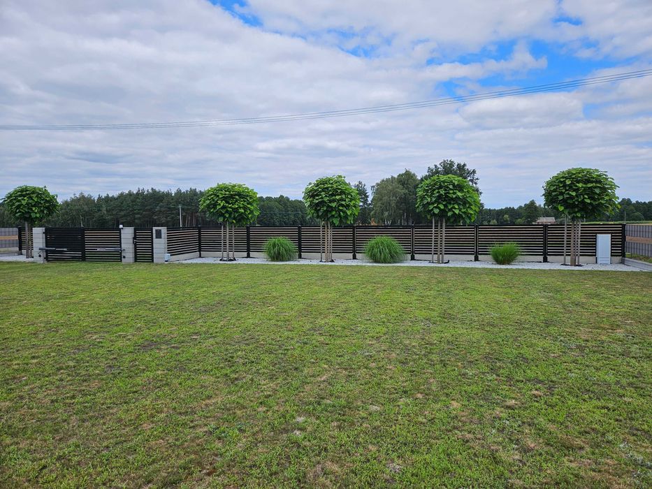 Dom – Ostrów Kaliski, powiat kaliski - Widok 5