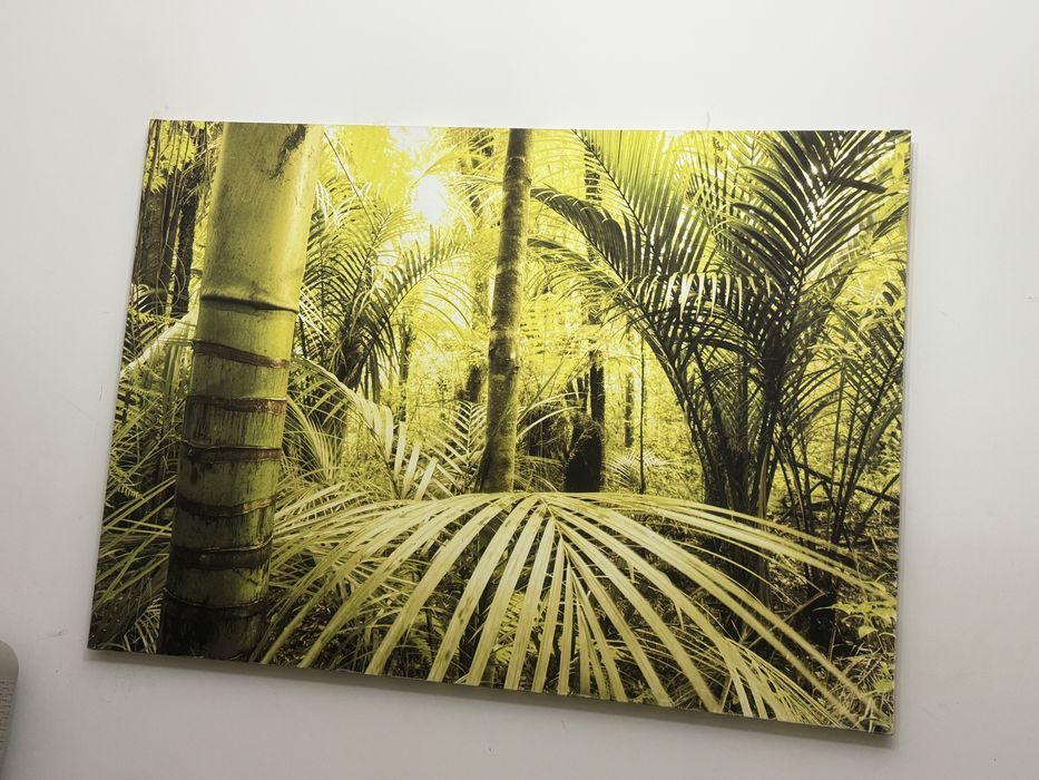 Quadro com a natureza