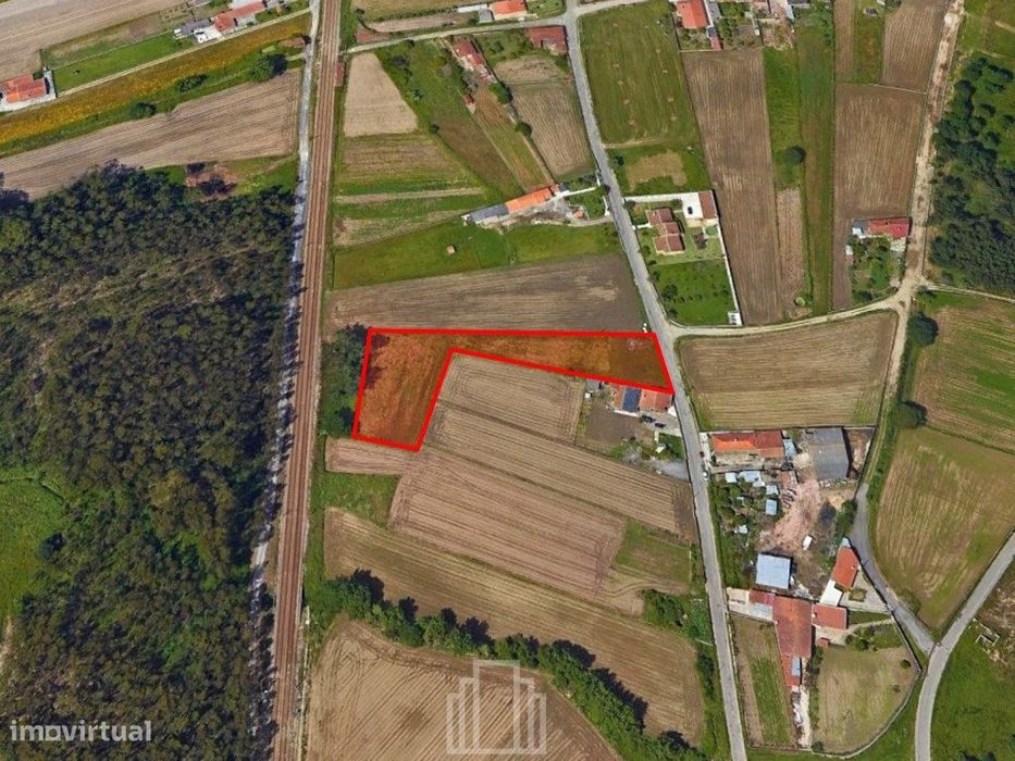 Terreno - Válega — Válega, Aveiro