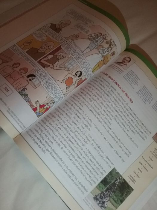 Manual + CAtiv - "Flying on the Wings of Imagination" Portuguese, 6th Grade64575286441601123