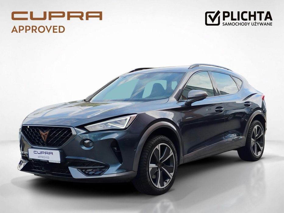 Cupra Formentor Polski Salon | 1 właściciel | Bogata opcja | Historia ASO | Gwarancja