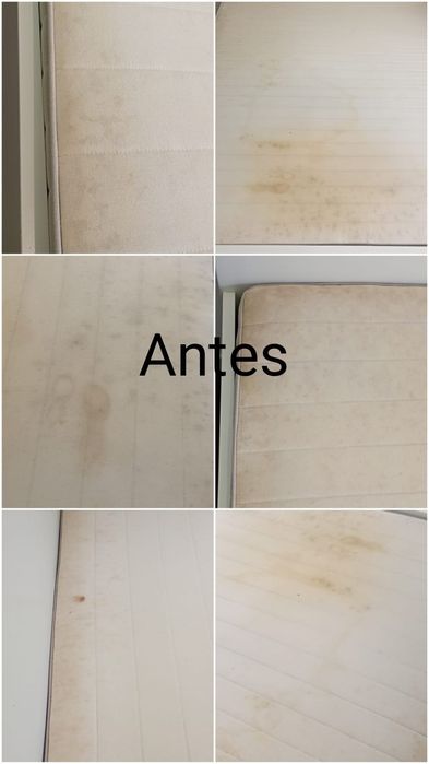 Higienização de estofos