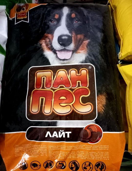 Пан пес чемпіон стандарт лайт юніор