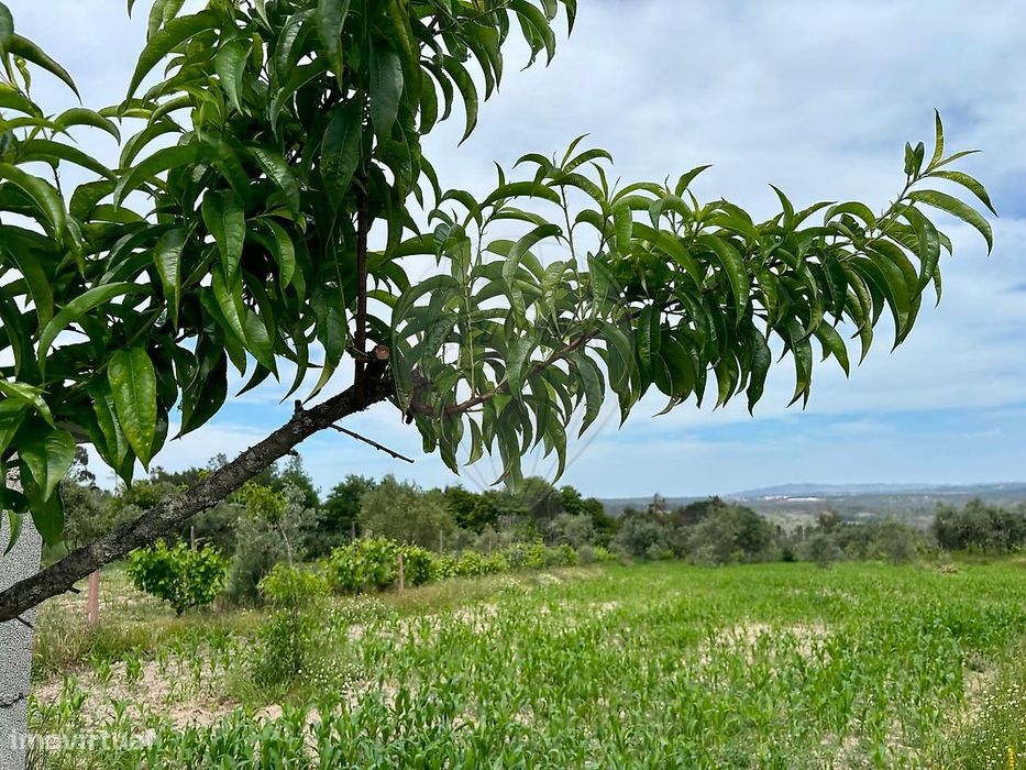 Terreno  para venda
