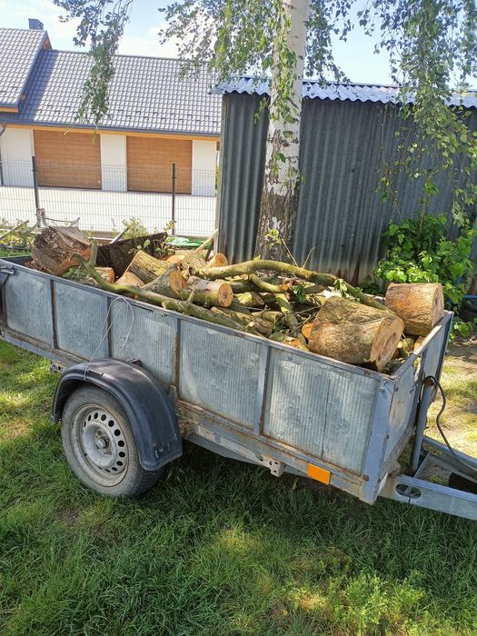 Drzewo owocowe do wędzenia