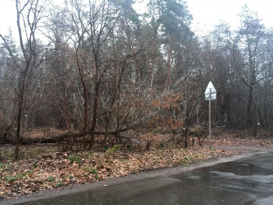 Без комісії!Продаж земельної ділянки. 20 сот.Пуща-Водиця.вул.Лісна