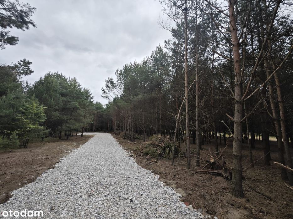 Działki na sprzedaż 1224 m² WARUNKI ZABUDOWY 2026 "WZ" WODA W DZIAŁCE - Widok 3