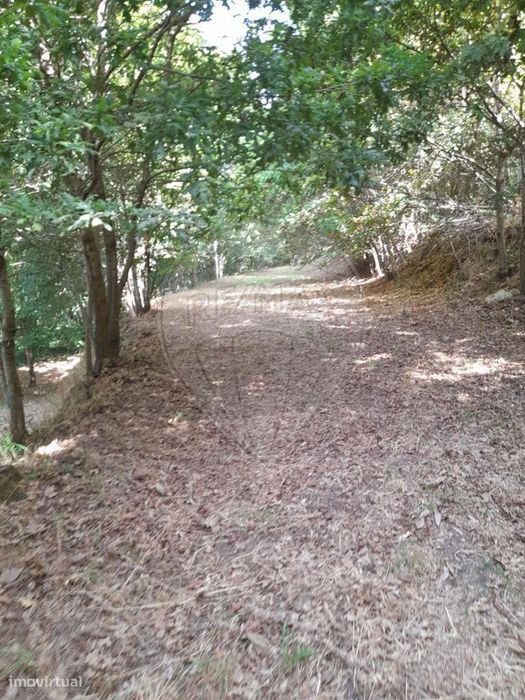 Terreno  para venda