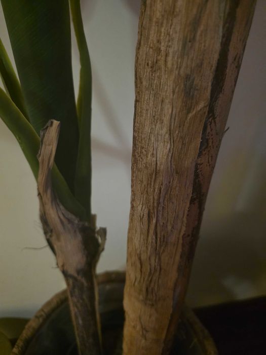 Planta artificial 150cm