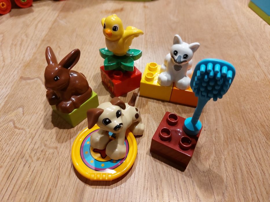 LEGO 10838 Duplo Zwierzątka domowe 2-5