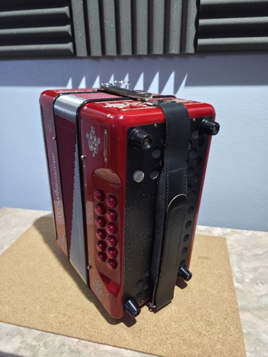 Concertina Pedrosini