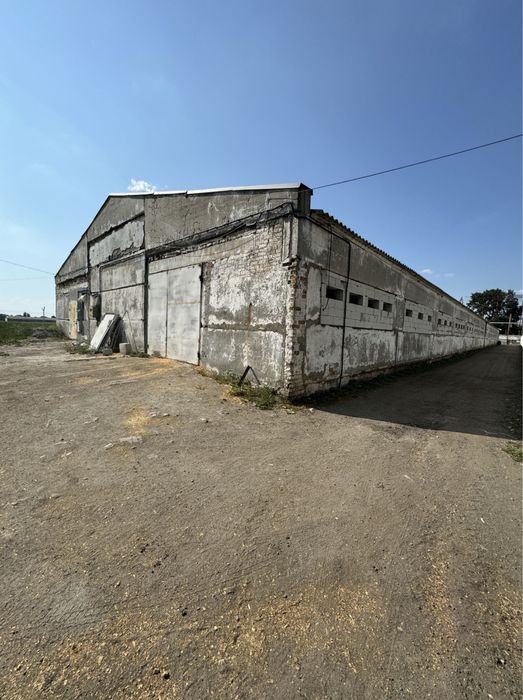 Продам помещение с. Голубовка