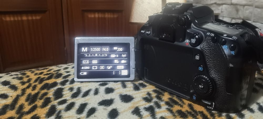 Canon 80D + Lente Canon 55-250mm