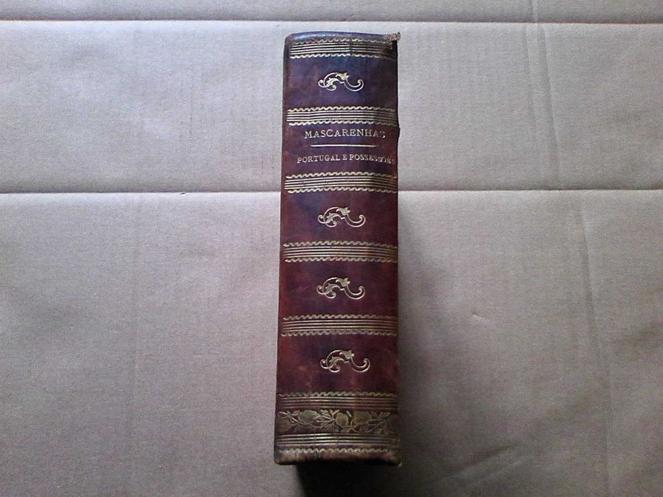 Portugal E Possessoes: Novissimo Diccionario ...