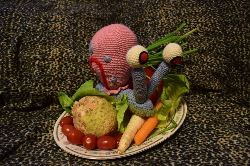 Gacuś przyjaciel spongeboba. Ślimak