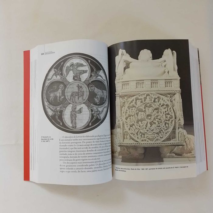 Arte Portuguesa - História Essencial  Autor: Paulo Pereira Editora: Temas e Debates / Círculo de Leitores Edição: 1.ª edição Ano: 2011