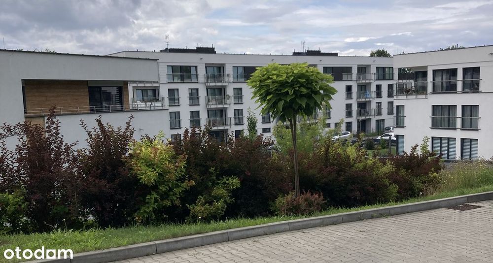 Zdjęcie 2