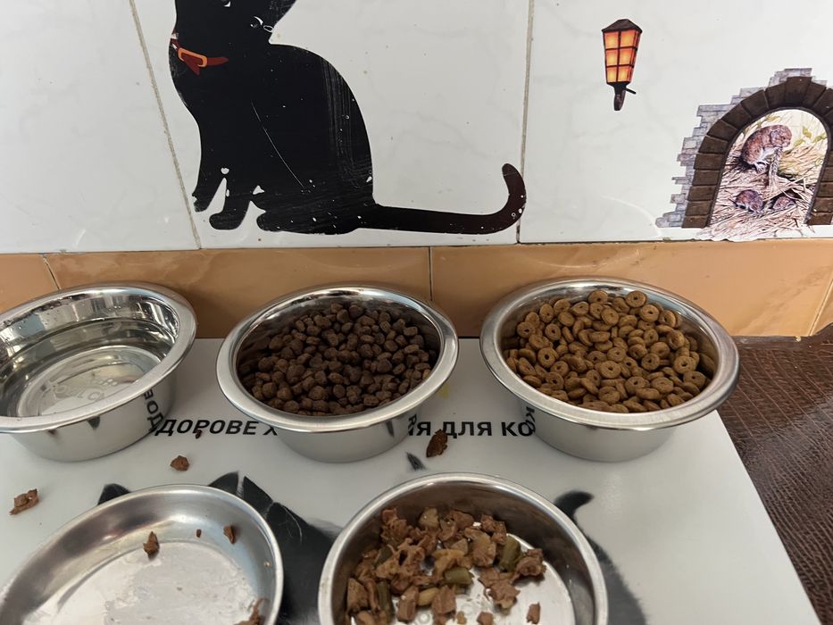 Миски для Котов и Собак.