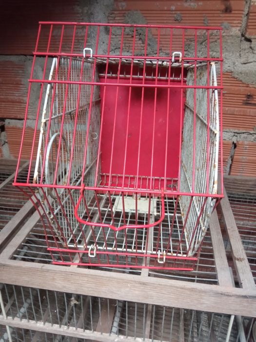 Gaiola tropical vermelha e branca