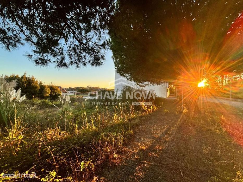 Terreno para Construção de Moradia Unifamiliar- Lote 5