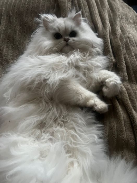 *?!€$£!?£$€*€$£*