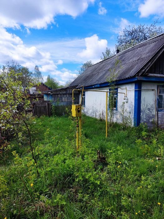 Продам будинок в Макарівському р-ні