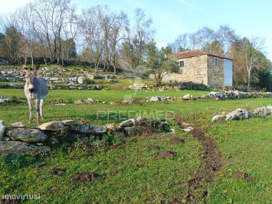 Quintinha p/ recuperar em Torgueda - Vila Real