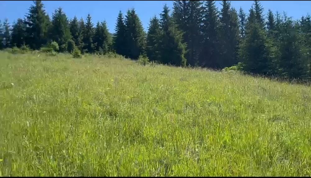 Продаж видової ділянки, поруч комунікації та гарний заїзд