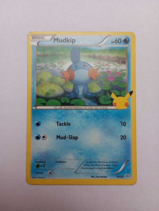 Karta pokemon mudkip