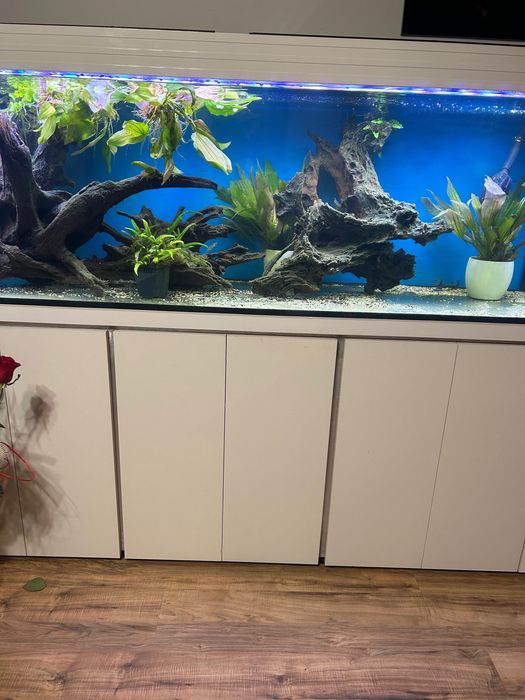 Akwarium 720 litrówPilnie sprzedam