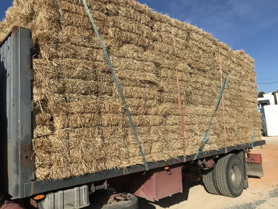 Palhas e forragens