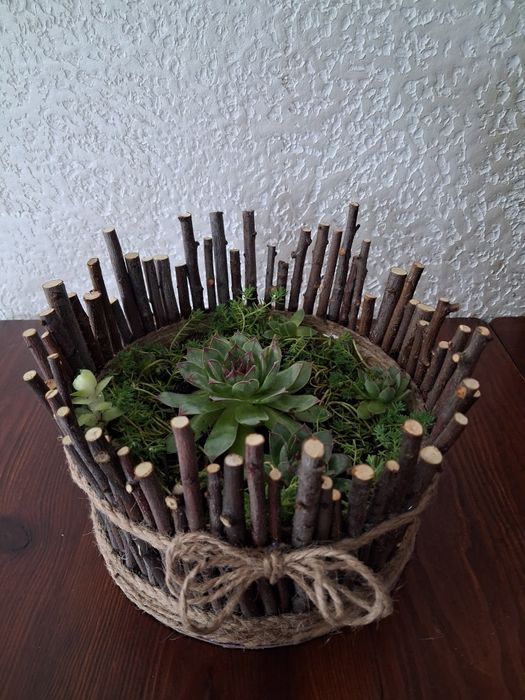 На подарунок сукуленти, кам,яна троянда