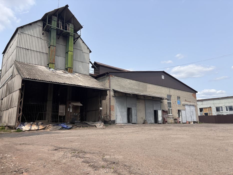 Продам окрему виробничу базу м. Зіньків  760м2 млин/елеватор