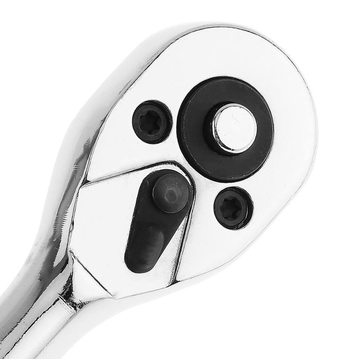 Тріскачка шарнірна