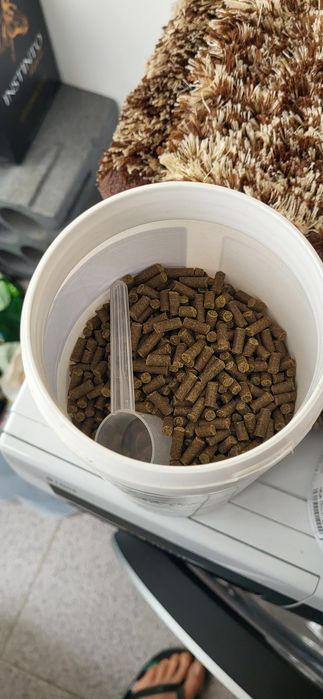 Concept 4 life suplemento cães