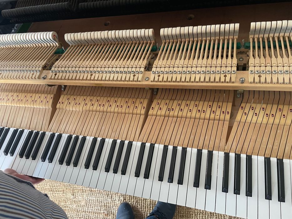 Piano de cauda Ibach Richard Strauss FIII - F3