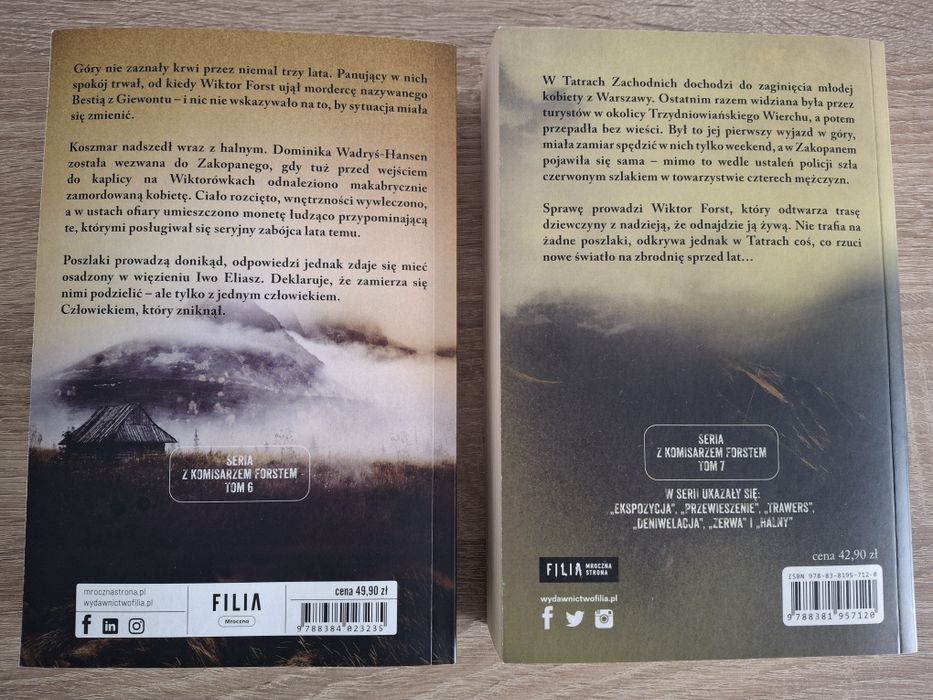 Halny, Przepaść - Remigiusz Mróz (Forst)